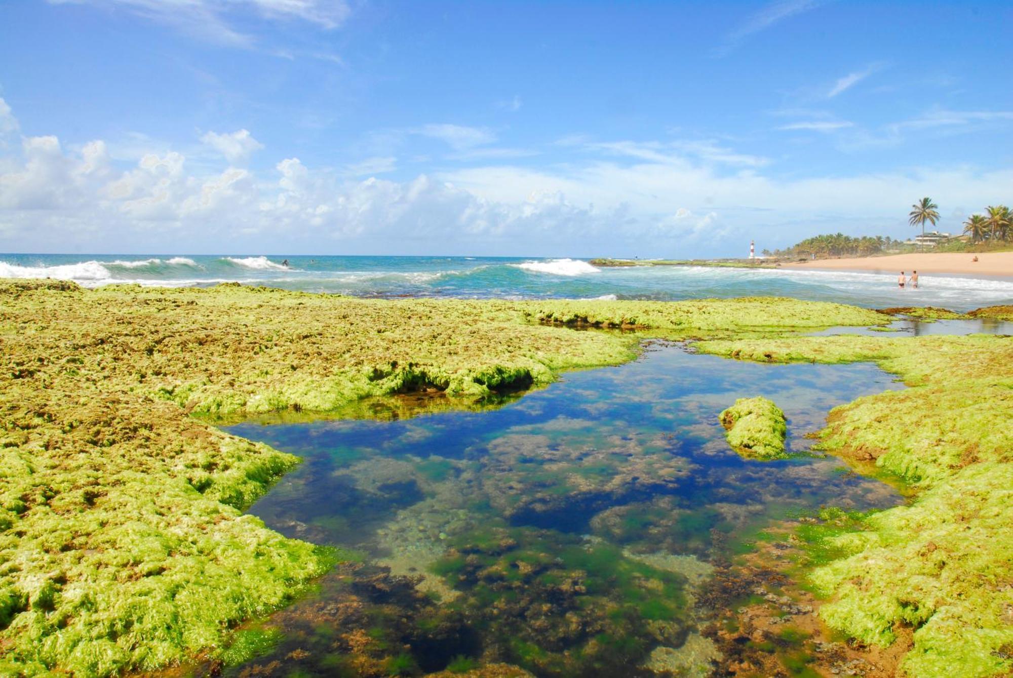 Samba Villa Da Praia Сальвадор Экстерьер фото